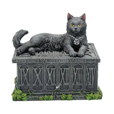 Figurine fortune watcher tarot box
